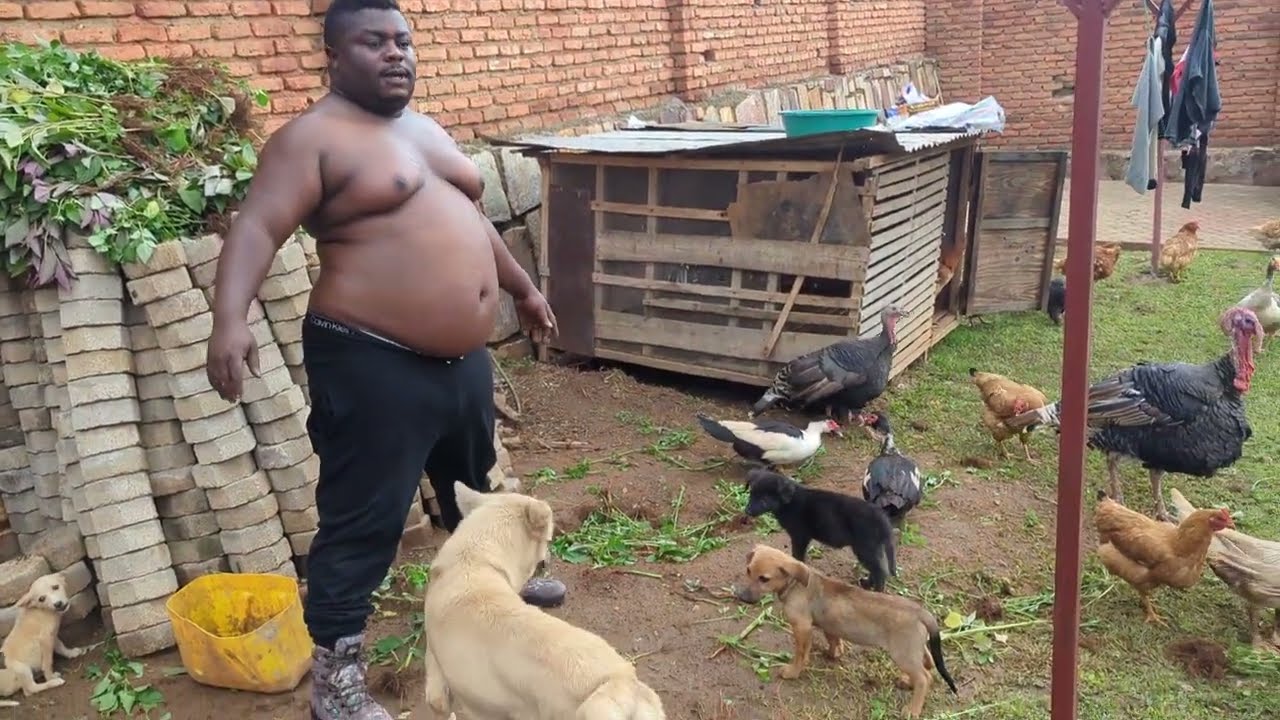 KASUKU Vs Bad Rama Ep.3: Bad Rama Urutwa nizimbwa Zanjye Ibyowakoze Sibyabantu bazima.