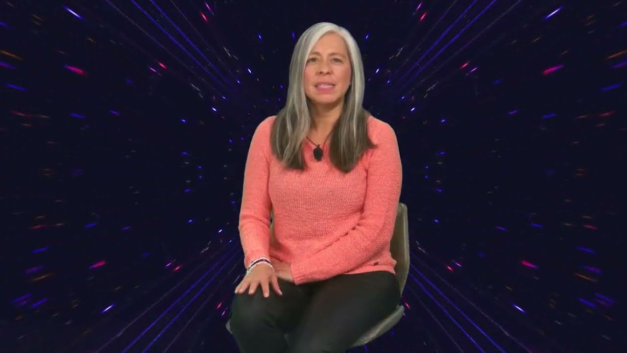 Héctor Aguilar Camín: Plagio