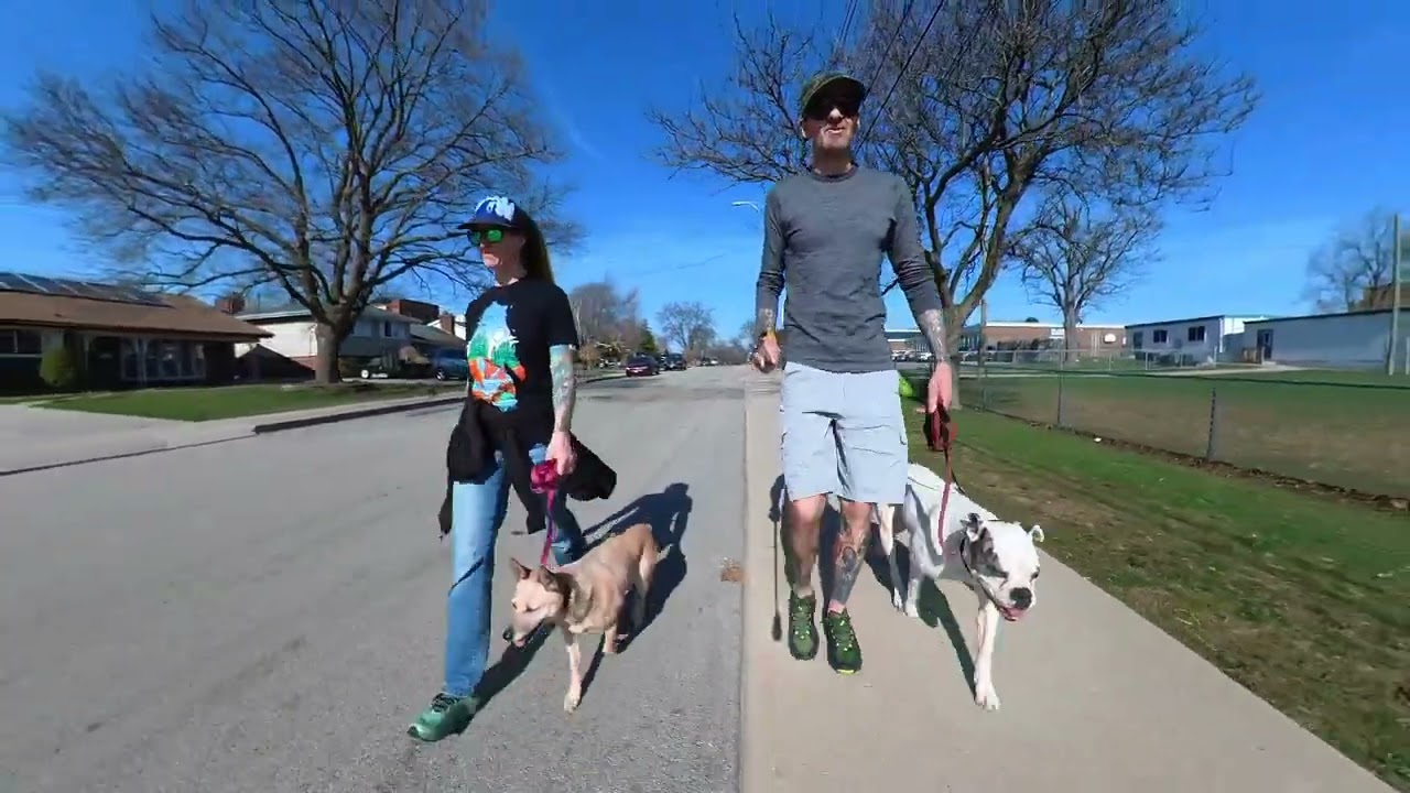 Breed Stereotypes