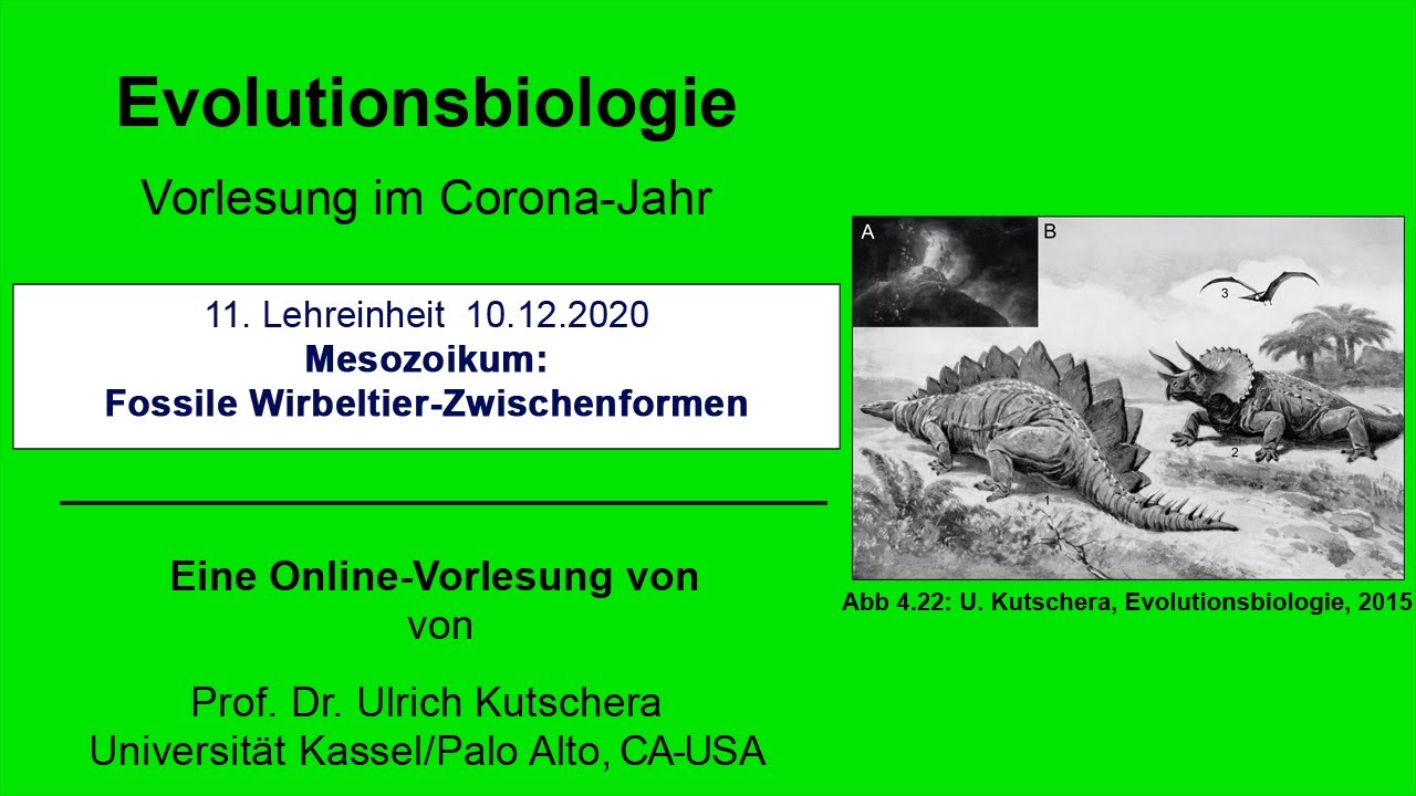 Mesozoikum: Fossile Wirbeltier-Zwischenformen
