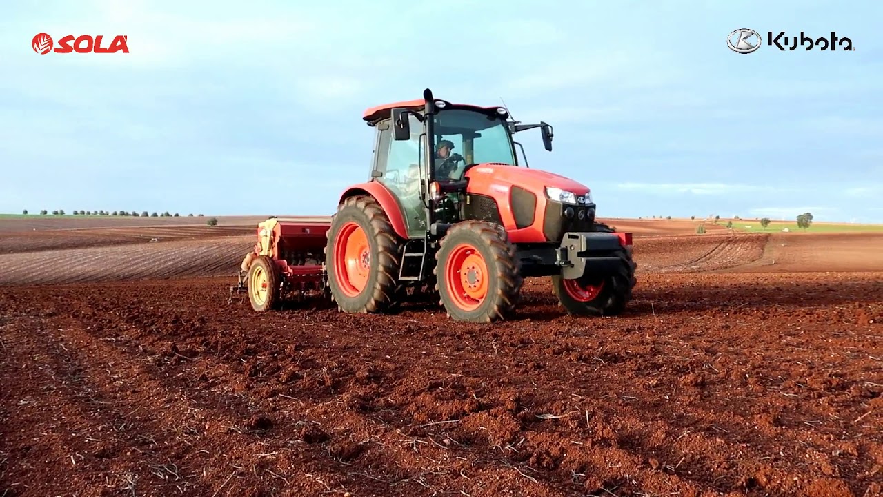 🌾Sementeira 2019/2020🌾Siew 2019/2020🌾
