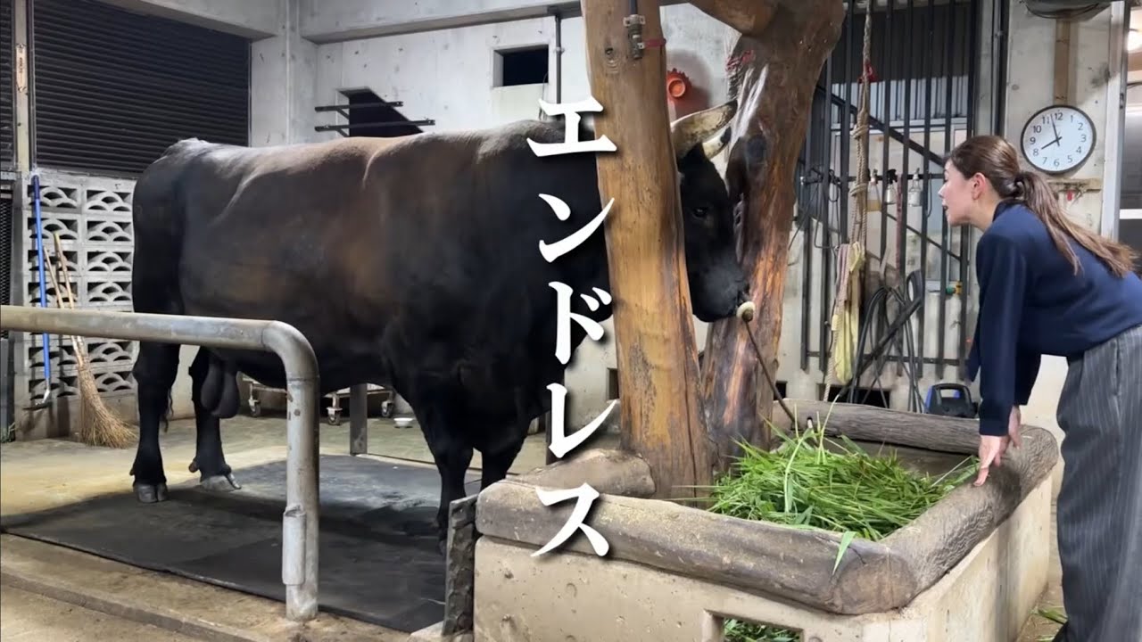 エンドレスエンドレス🐃