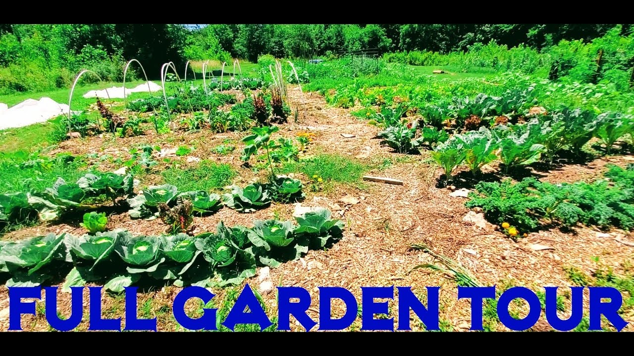 How Many Different Gardens Can One Man Have? | Full Garden Tour