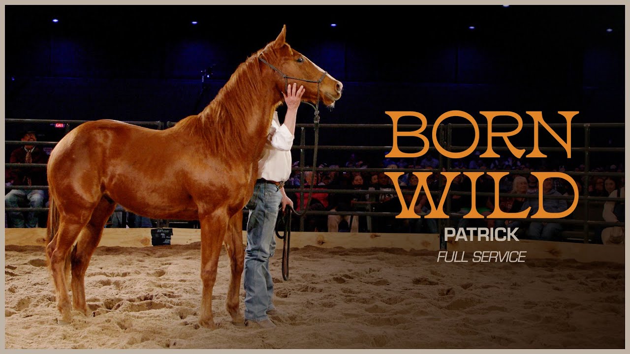 Patrick | Todd Pierce and Riding High Ministries | Full Service