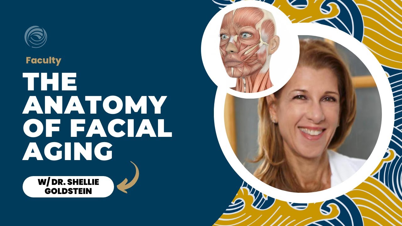 The Anatomy of Facial Aging | Shellie Goldstein