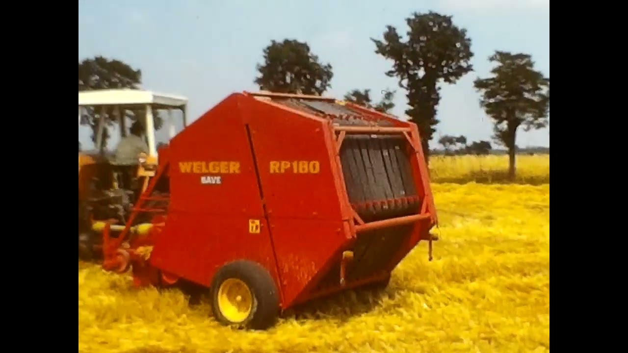 Trebbiatura 1975