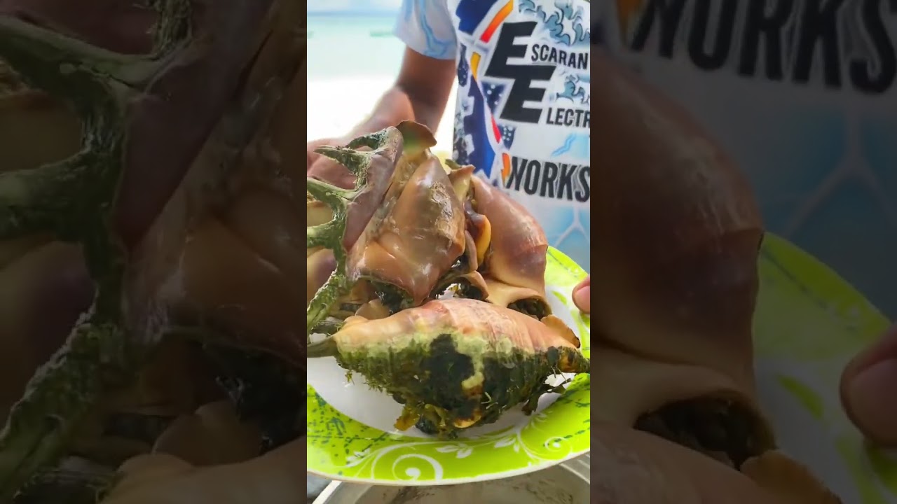 Saang seafoods sa Bantayan island #cookingvideo #saang #mukbang #highlights #shorts