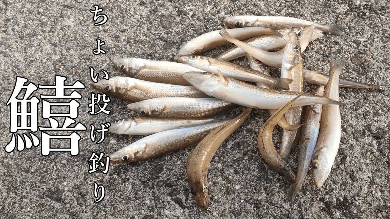 キス釣り＃01（ちょい投げ釣り）