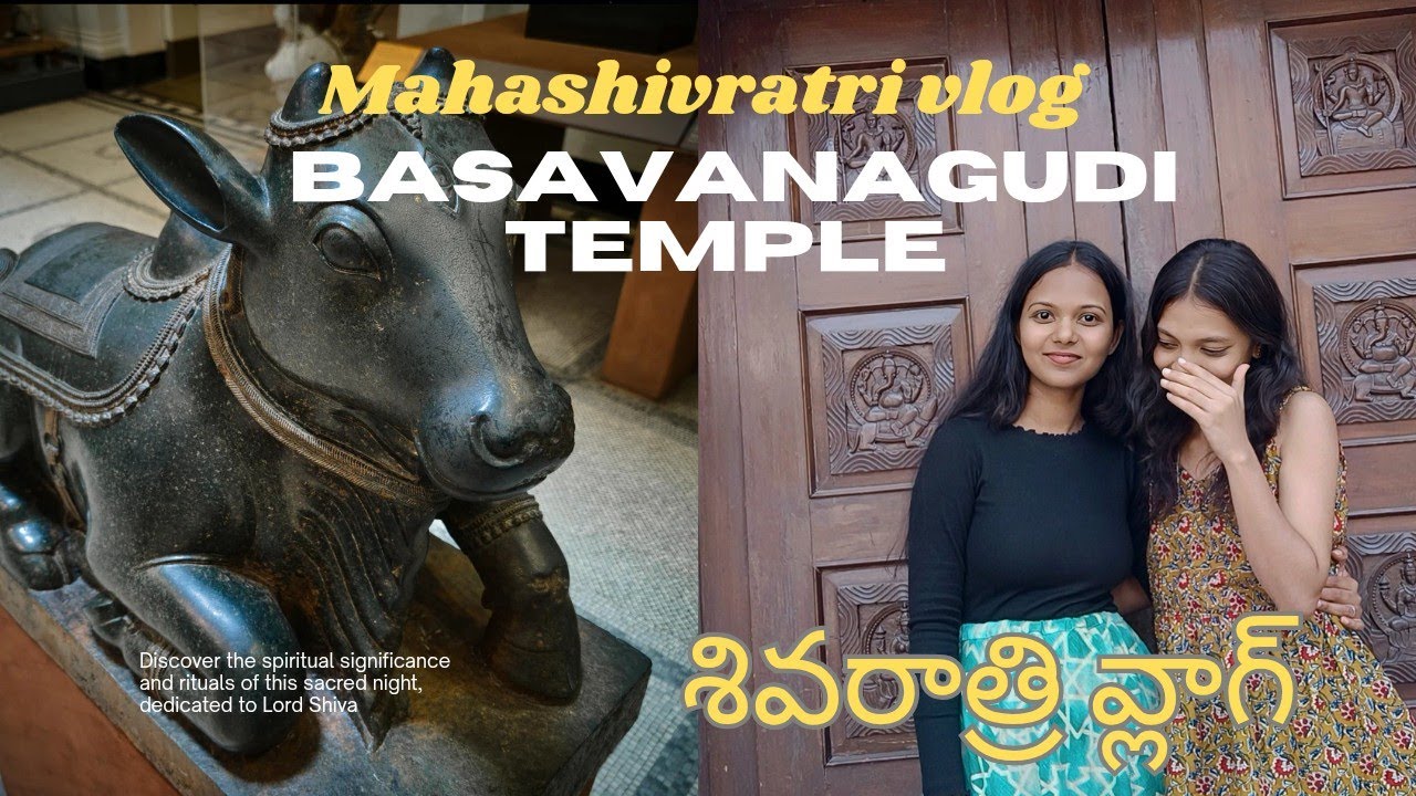 Shivaratri vlog❤️ | Basavanagudi Temple ✨| 
