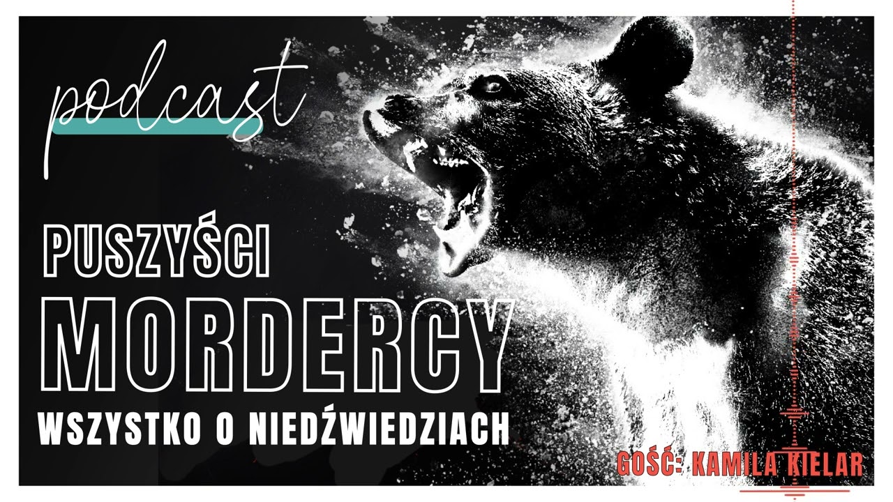 Puszyści Mordercy, czyli wszystko o niedźwiedziach. Gość: Kamila Kielar