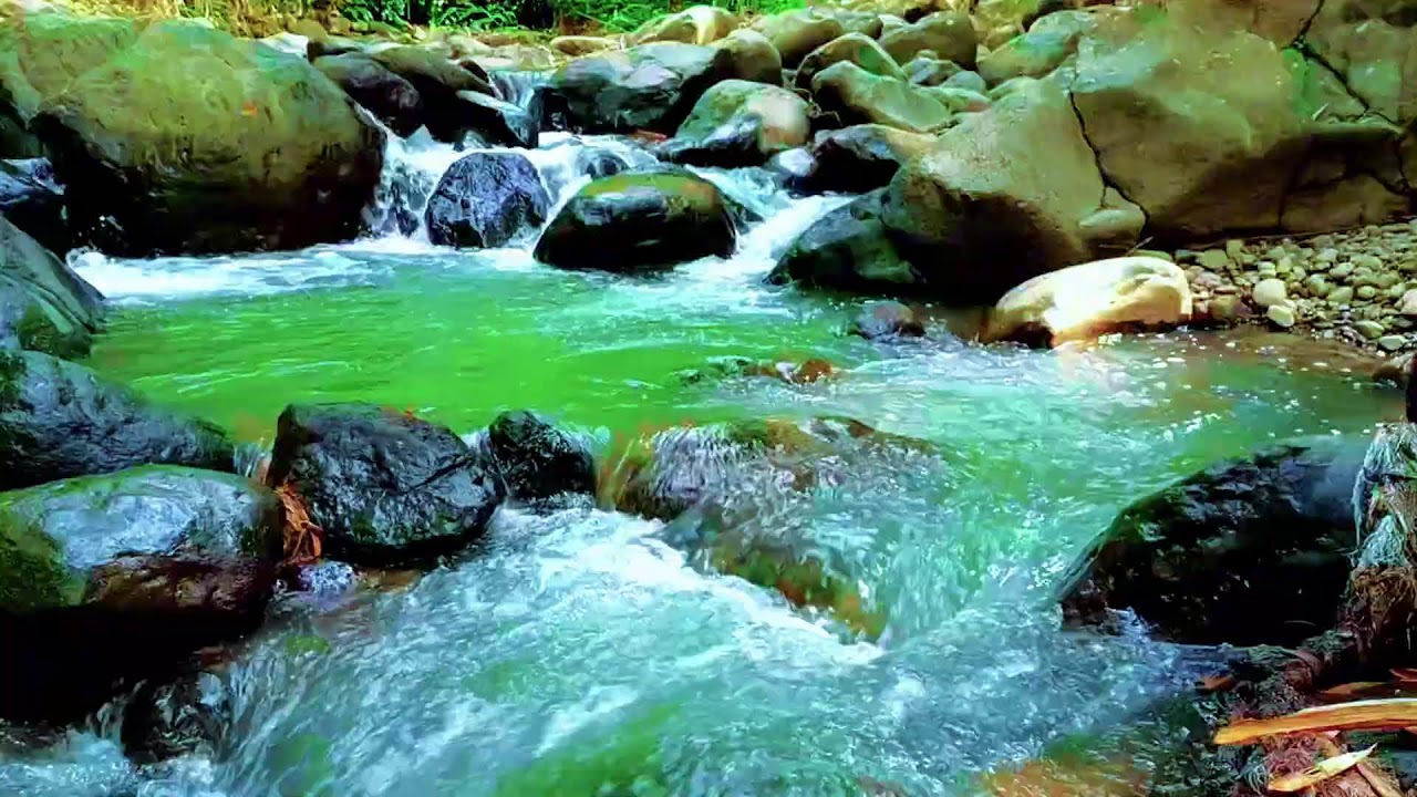 Hidden Forest Ambience with Slow Flowing River for Deep Sleep, Restful Calm, and Night Healing
