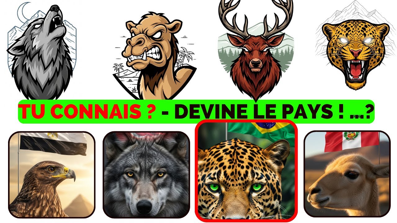 Devine l’Animal & le Pays 🔥 | Quiz TROP DINGUE (Part 2)