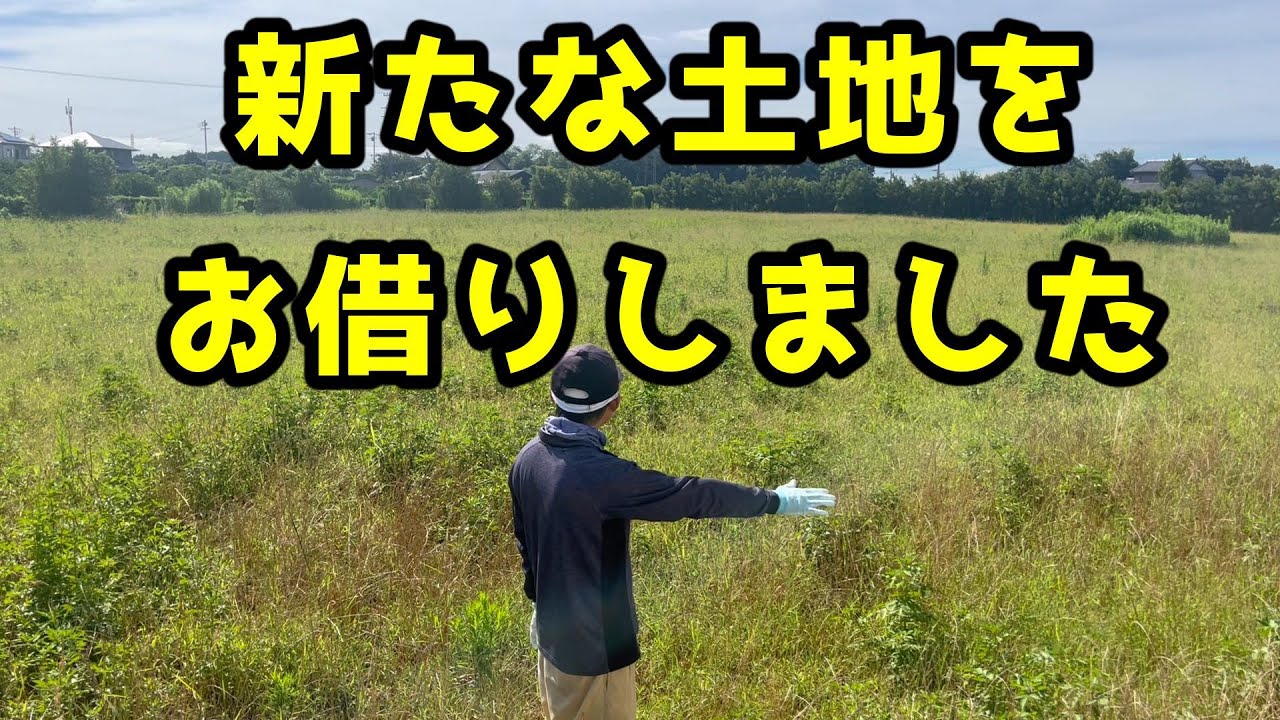 ペニーロイヤルミントって知ってる？