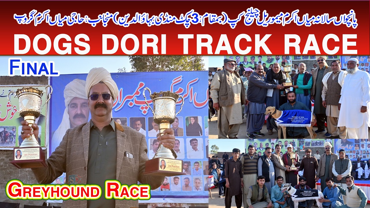 Dori Track Race | Mian Akram (M) Cup Mandi bahauddin | Final  |07-02-2026 | ‎#dog #pets