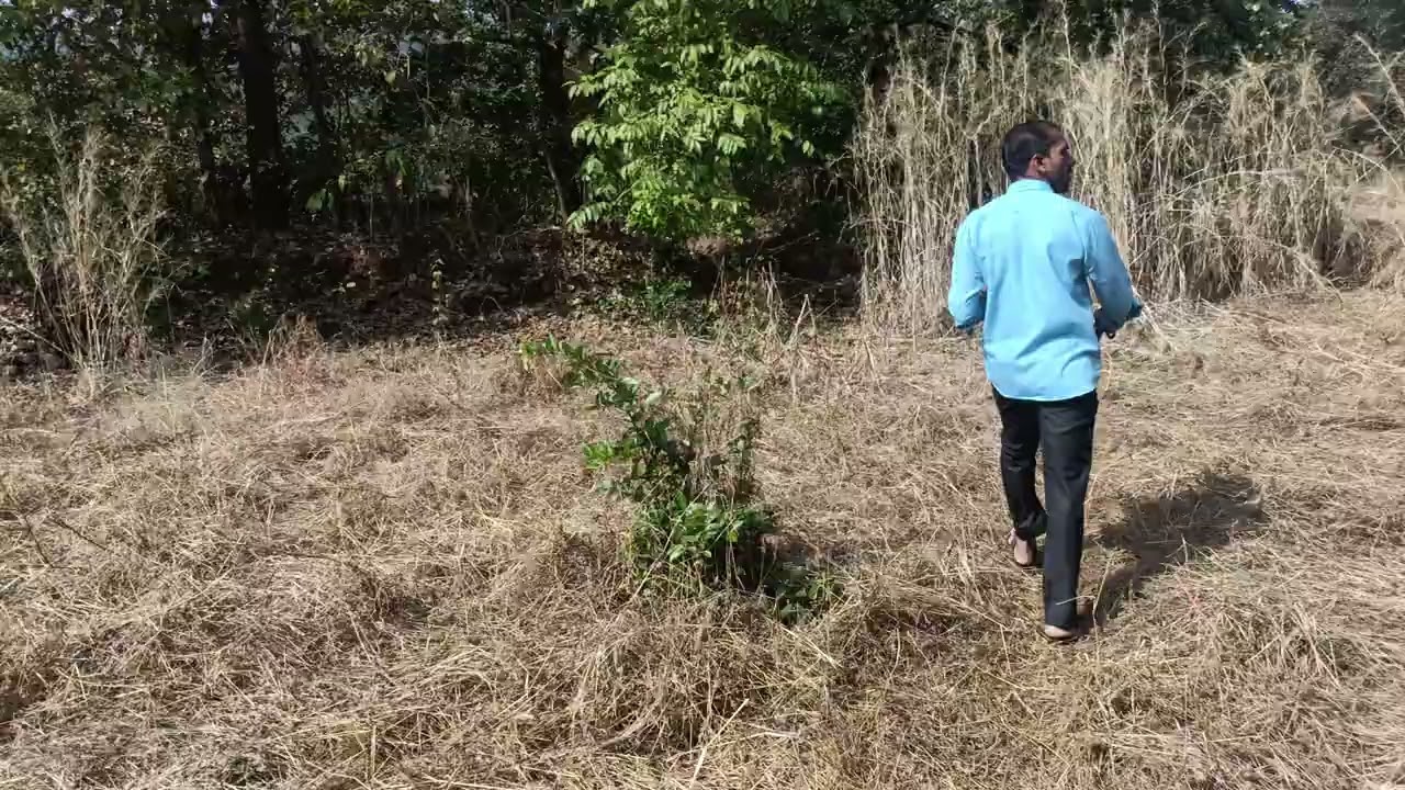 Land for sale @ mangaon kokan #kokanproperty #landforsale #farmland #konkanpropertyexpo #kokan 