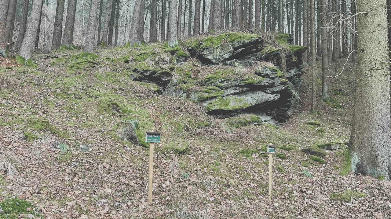 🥾 Naturlehrpfad Grünauer Tal (Erzgebirge)