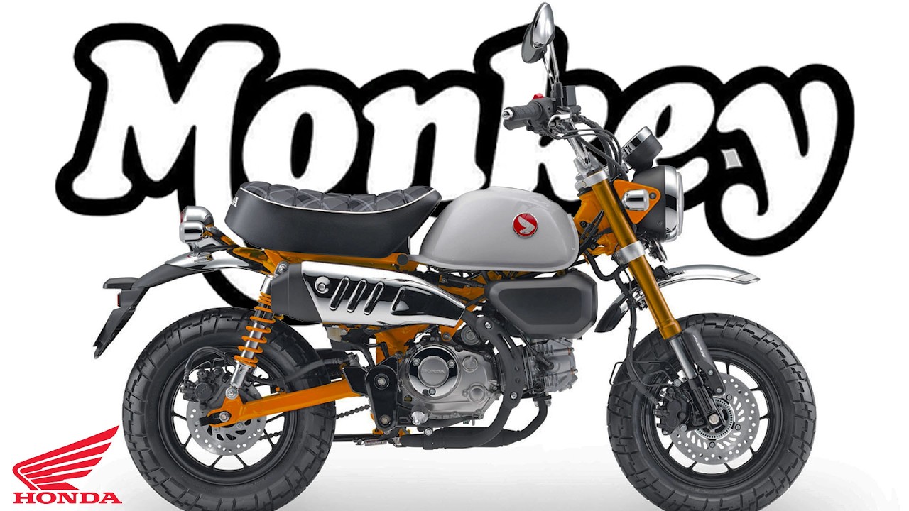 HONDA MONKEY 125 - цвета | 2026 |