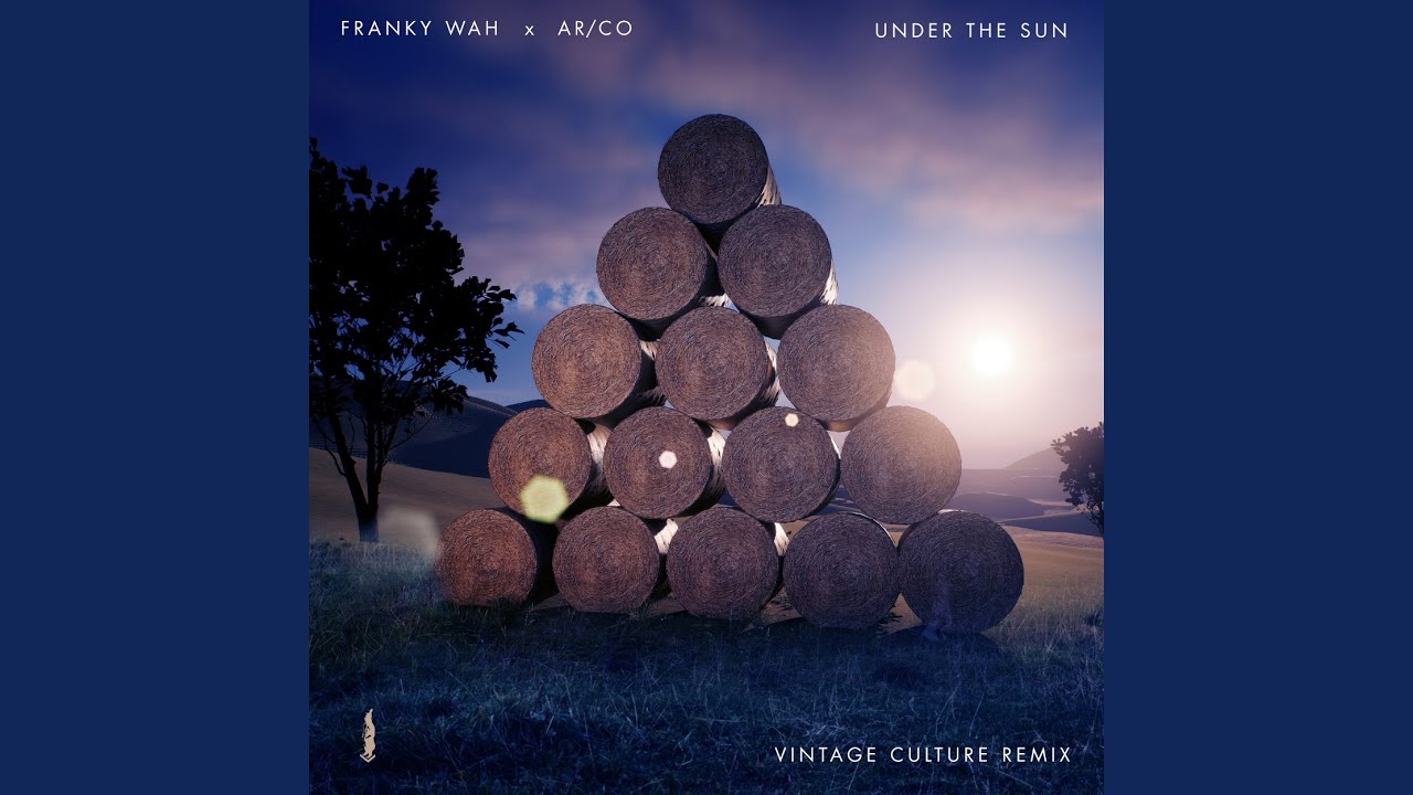Under The Sun (Vintage Culture Remix)