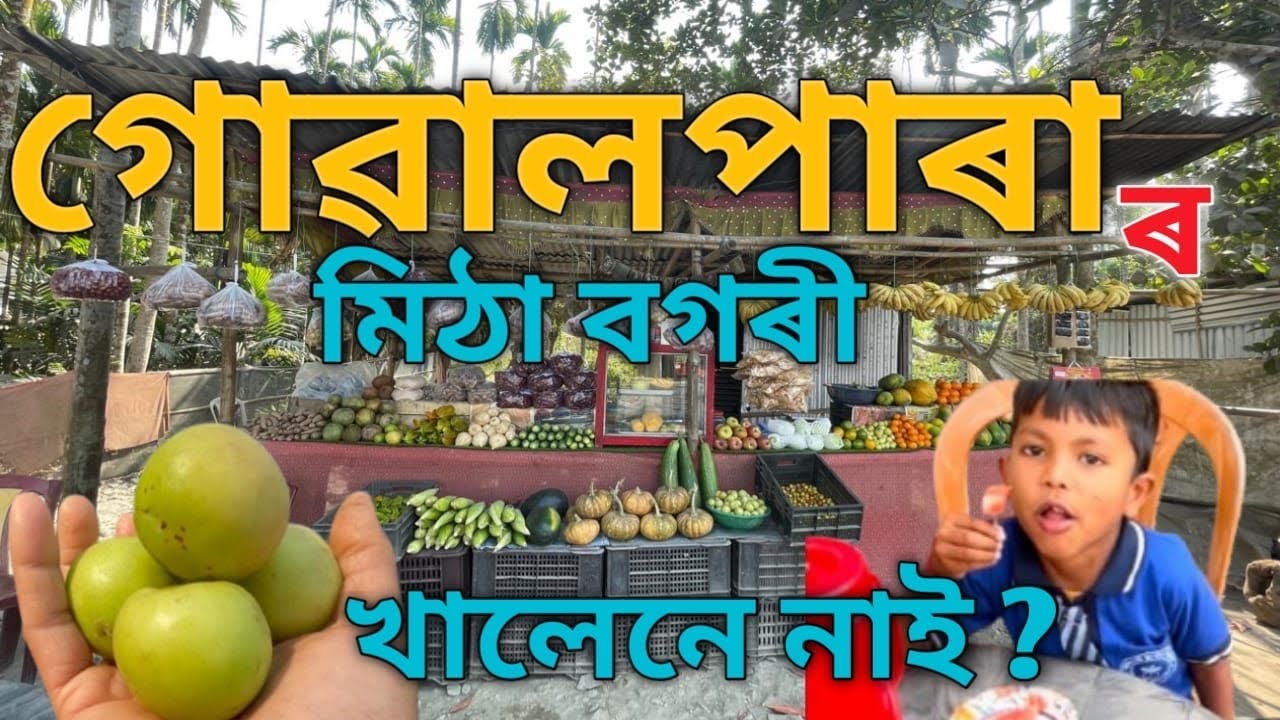 Goalpara ৰ মিঠা  বগৰীৰ খালেনে নাই ?   Have you eaten the sweet jujube ?
