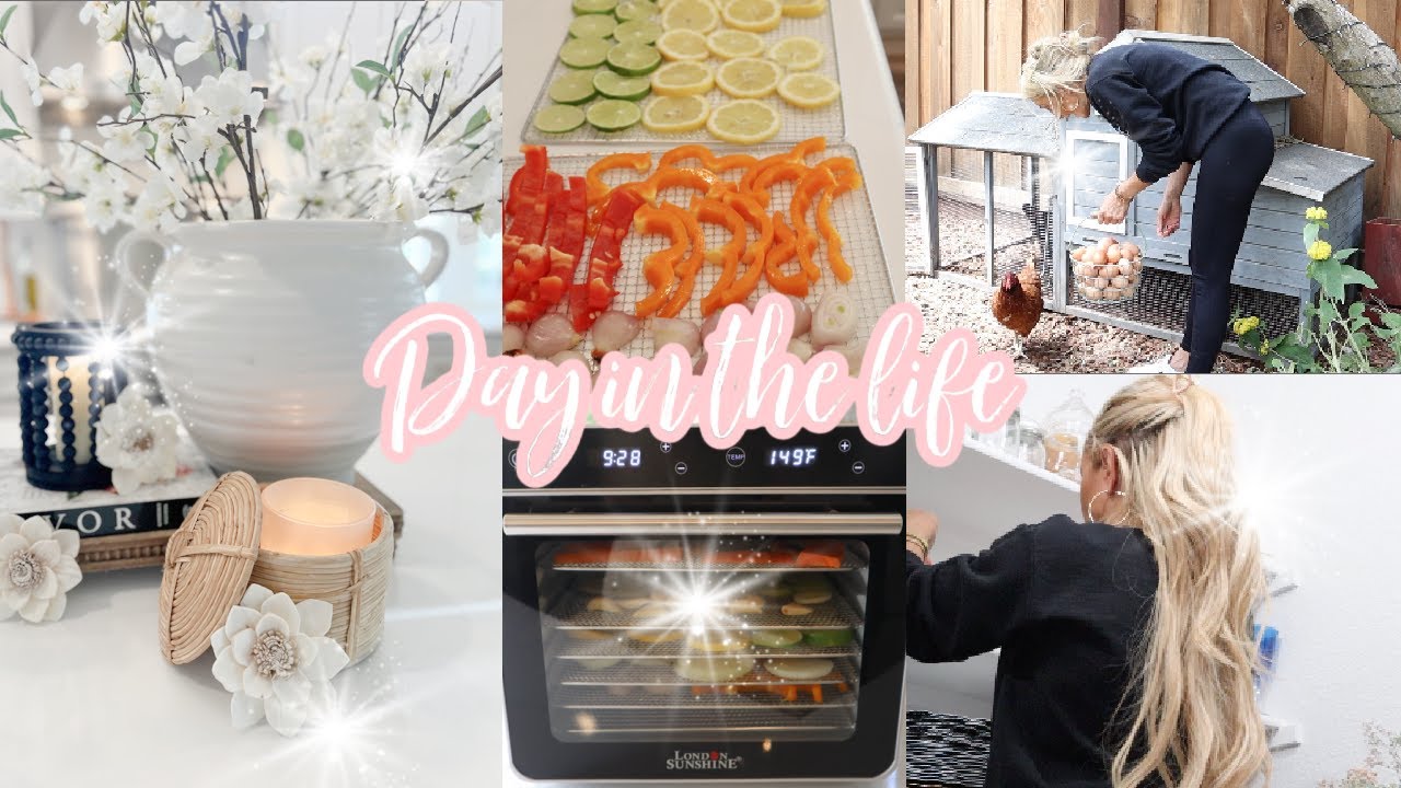 DAY IN THE LIFE // DEHYDRATING HOMEMADE SPICES // DECORATING // ORGANIZING THE PANTRY