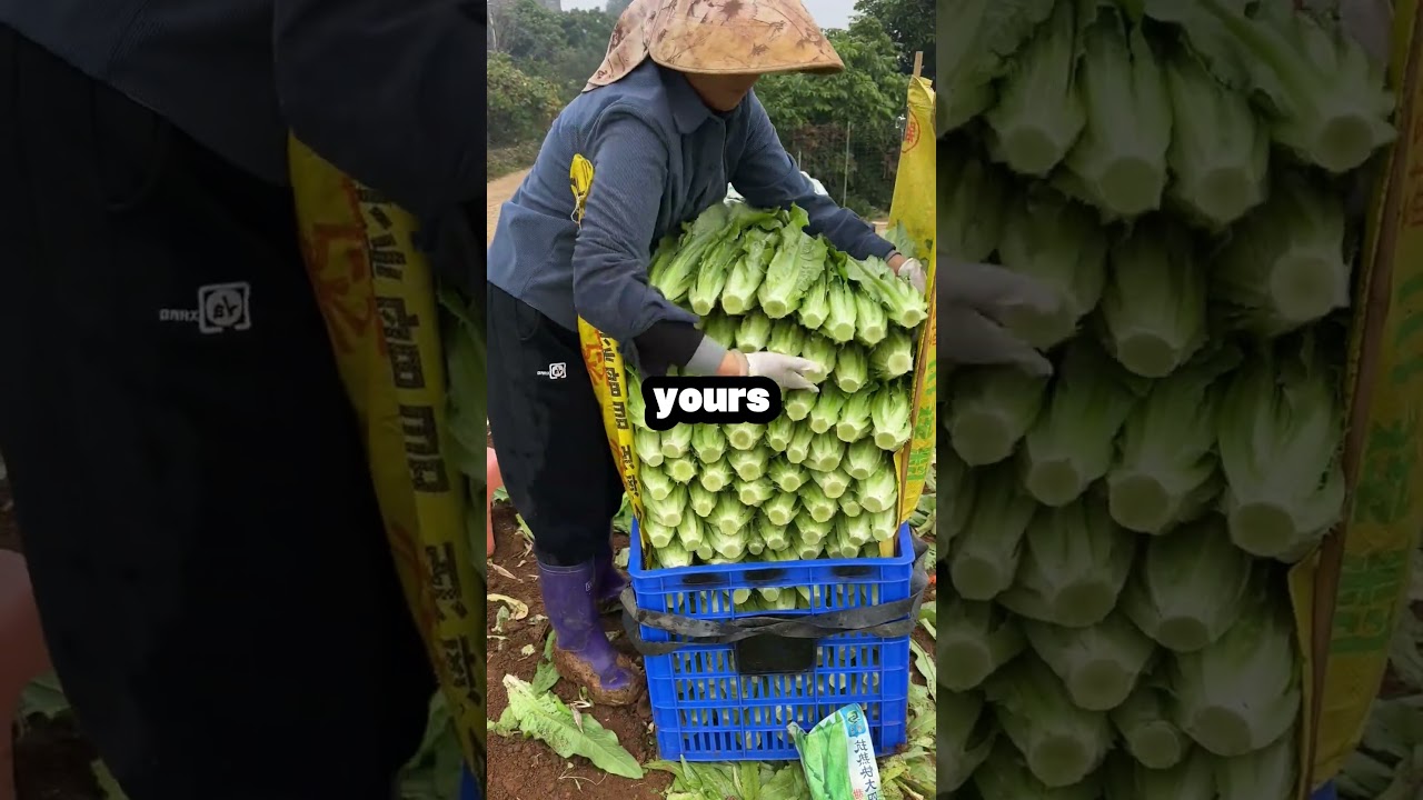 Моя дочь пришла домой в слезах после теста ДНК — я не являюсь её биологической матерью, но я её р...