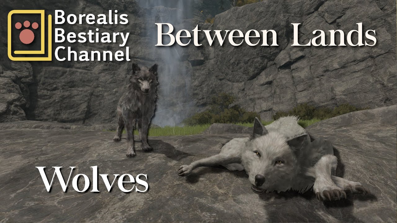 Borealis Bestiary Clips| Between Lands | Wolves