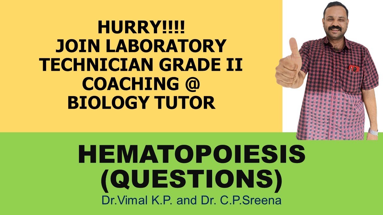 | HEMATOPOIESIS |