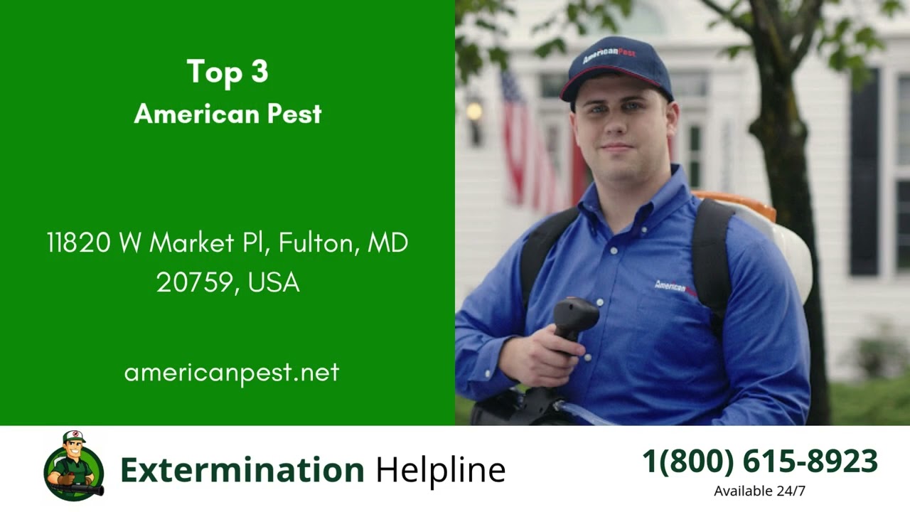 Top 3 Exterminators in Dundalk