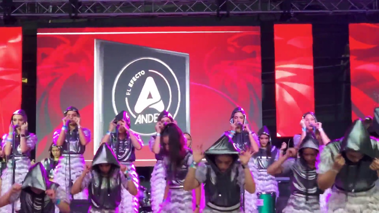Gaitas Andes 2019 SAP
