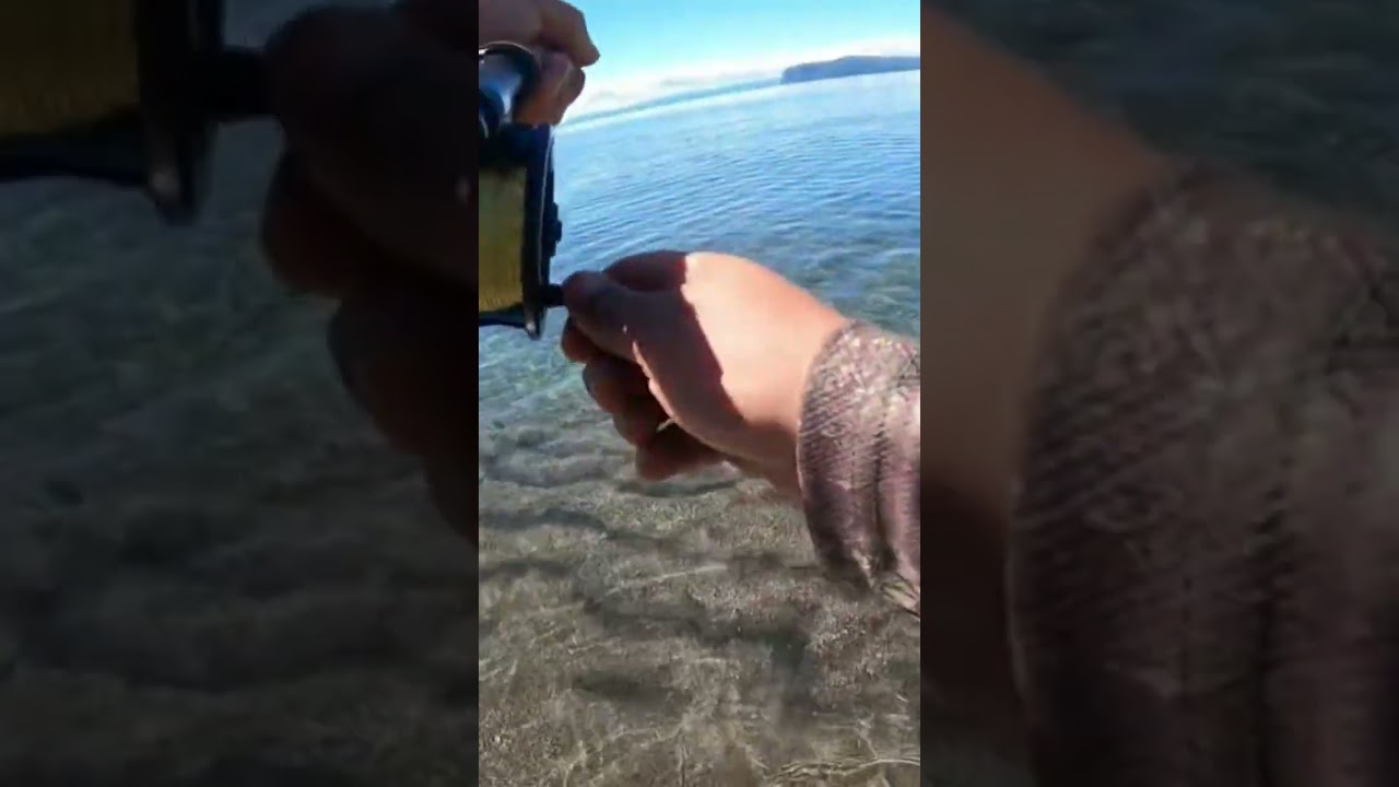 one from the archives. I don't fly fish much. #flyfishing #trout #wavingthewand