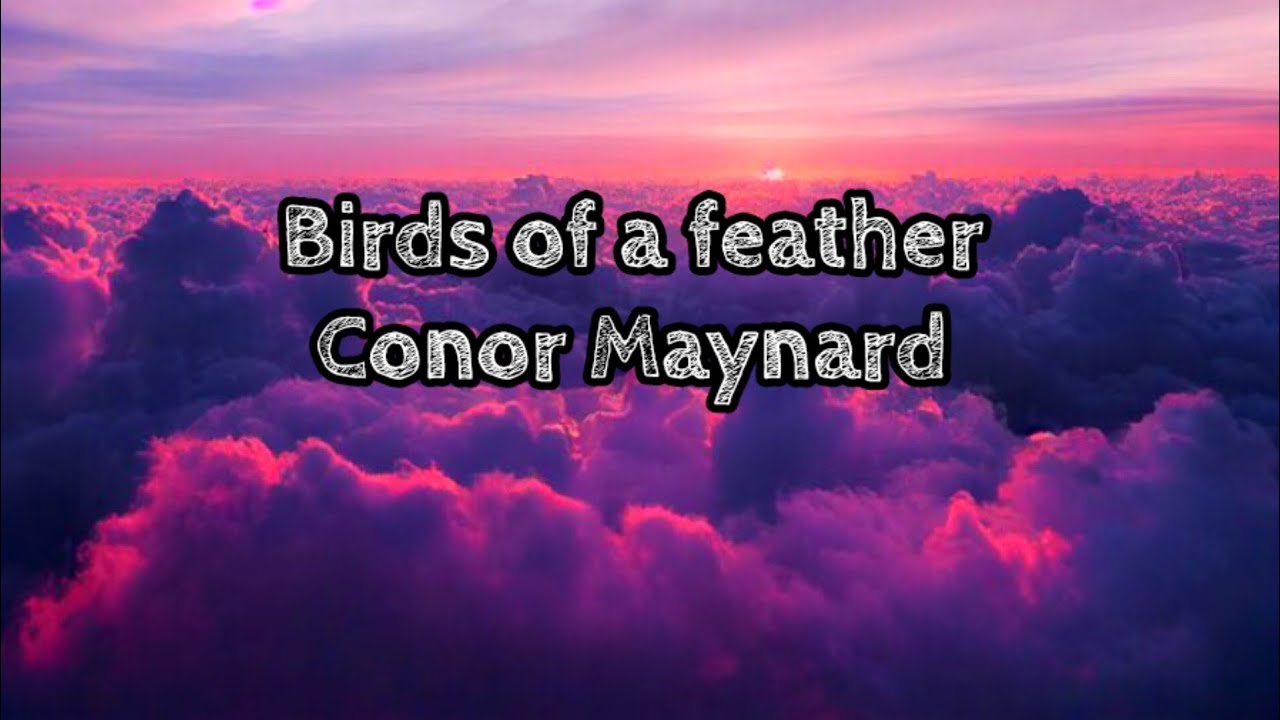 Conor Maynard - Birds of a feather lyrics