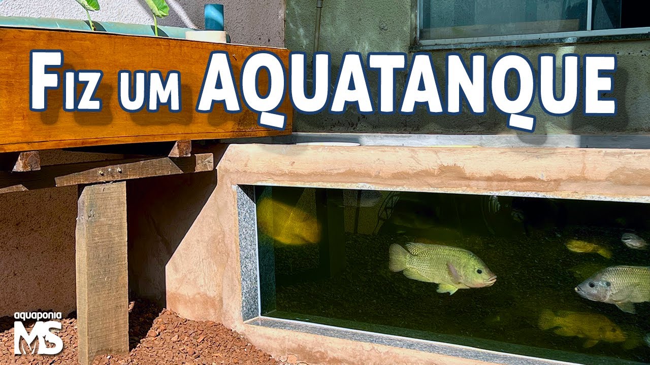 AQUATANQUE: Veja como Construi!