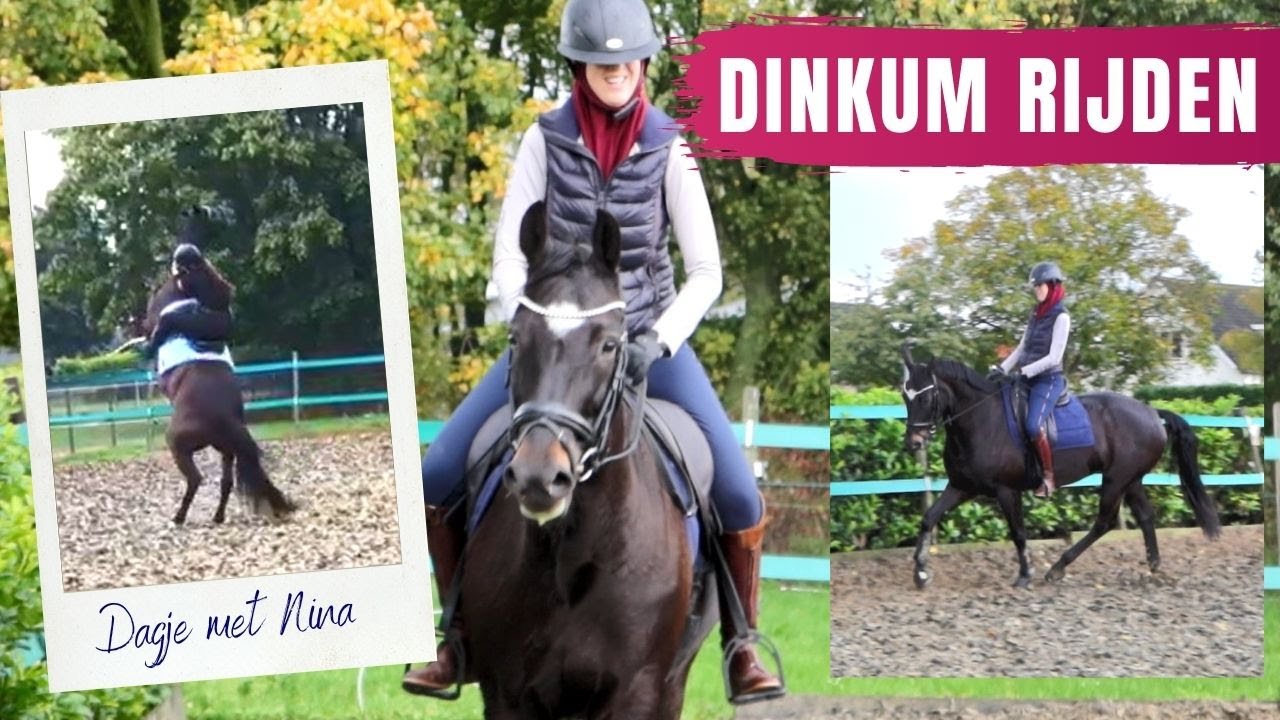 Dagvlog met Nina & rijden op haar merrie Dinkum  ♥ | 𝘚𝘯𝘶𝘪𝘵𝘢𝘣𝘭𝘦