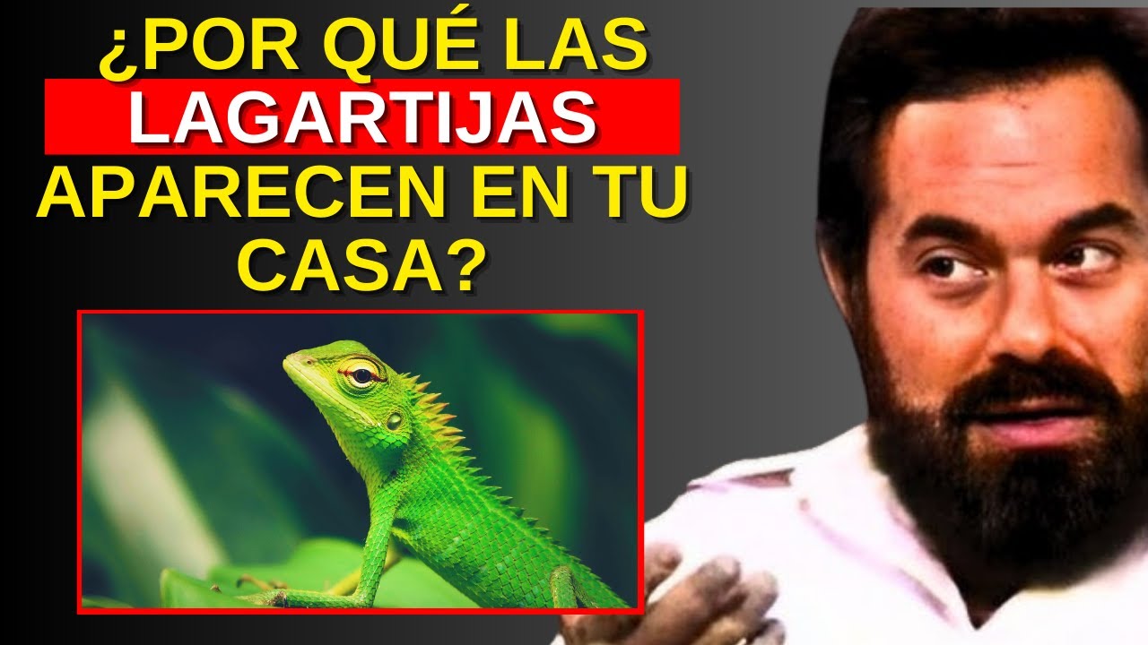 EL SIGNIFICADO ESPIRITUAL DE LA LAGARTIJA EN SU CASA - JACOBO GRINBERG