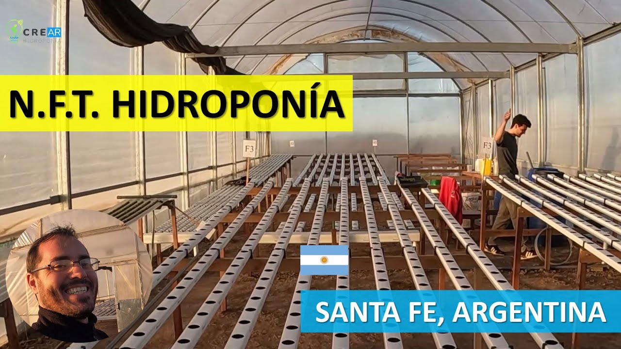 Consultoría Hidropónica - Argentina [Wheelwright]