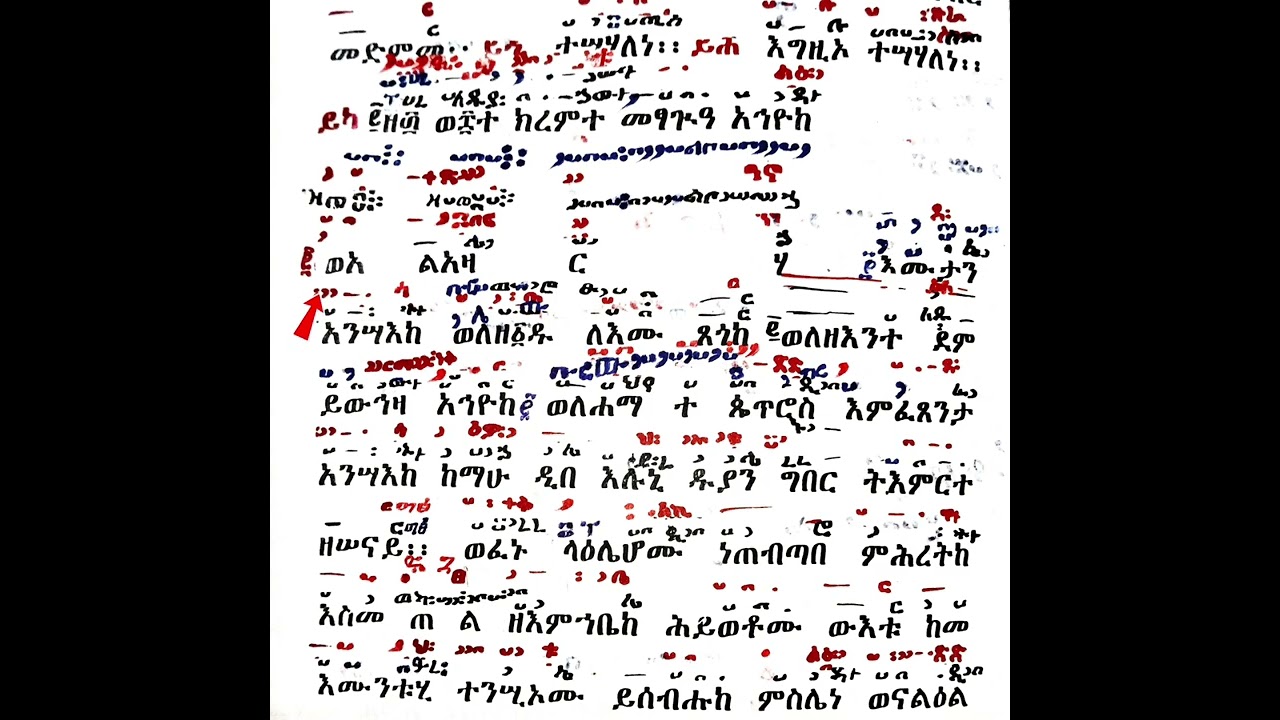 አንቀጾቹን ለማስታወስ ያክል ነው ሙሉ ምስል ተረስቶ አልገባምና ይቅርታ
