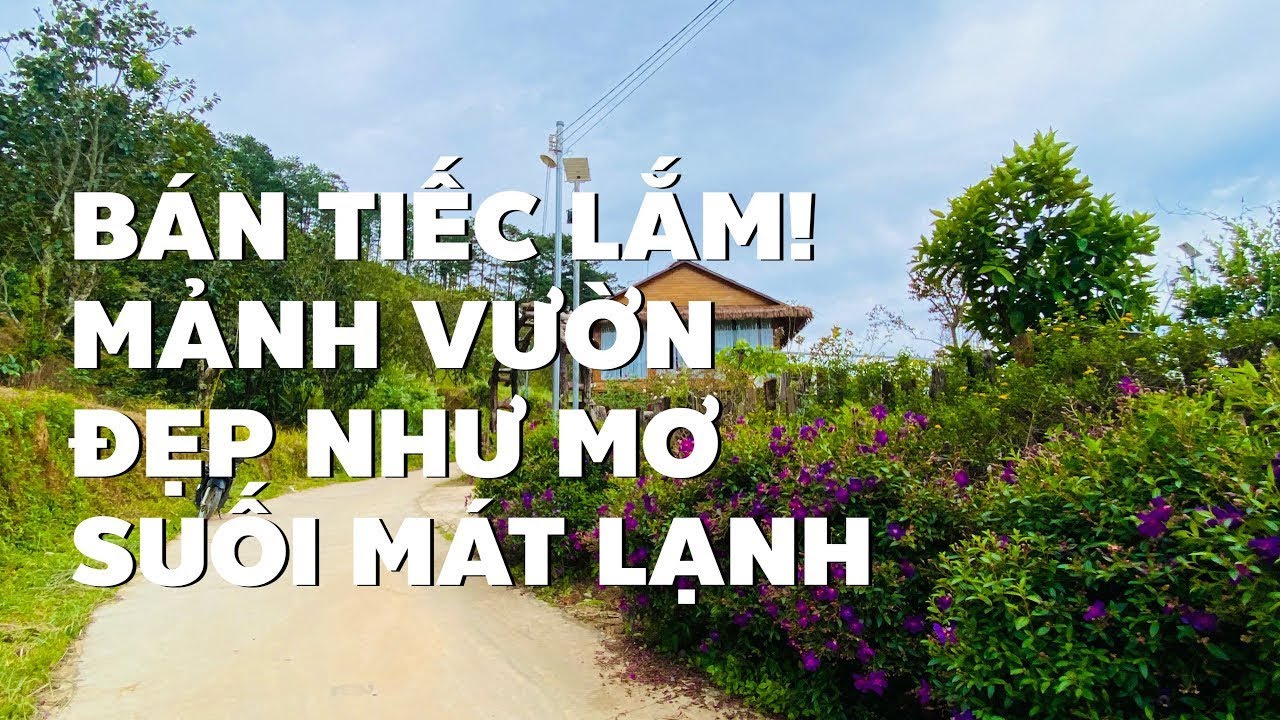 Sốc tập 2! Giảm chỉ còn nhỉnh 900tr cho hơn 5000m2 đất vườn gần Đà Lạt đẹp tuyệt (ĐÃ BÁN)