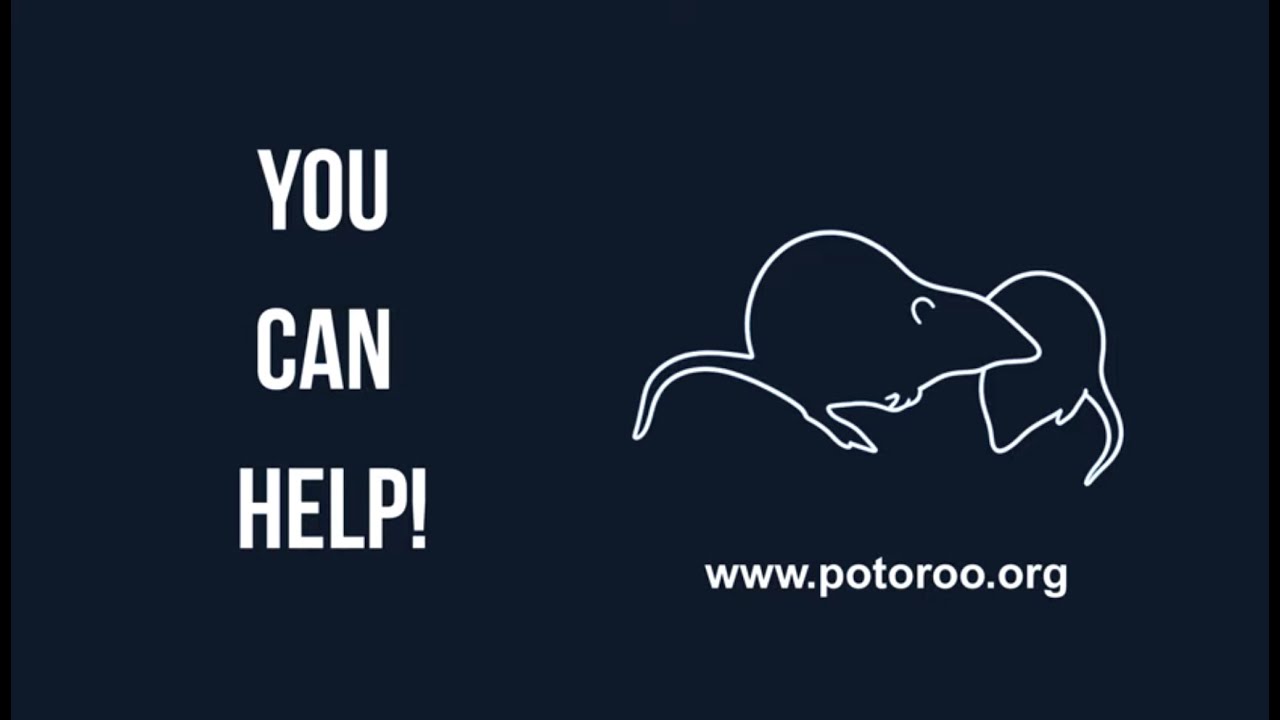 You Can Help!