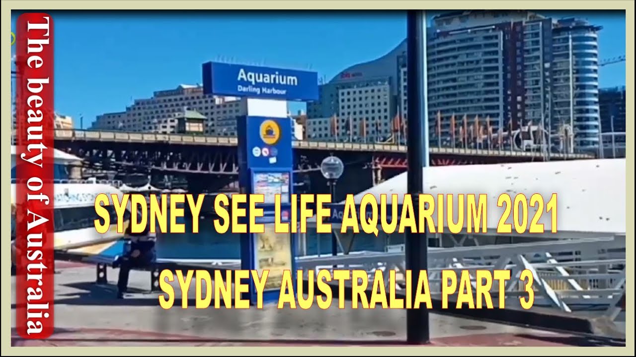 Sydney Sea life Aquarium 2021 | Sydney Aquarium Australia | Walking around Sydney Aquarium |Part 3