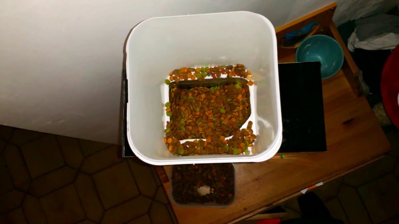 Distributeur de croquettes ARDUINO
