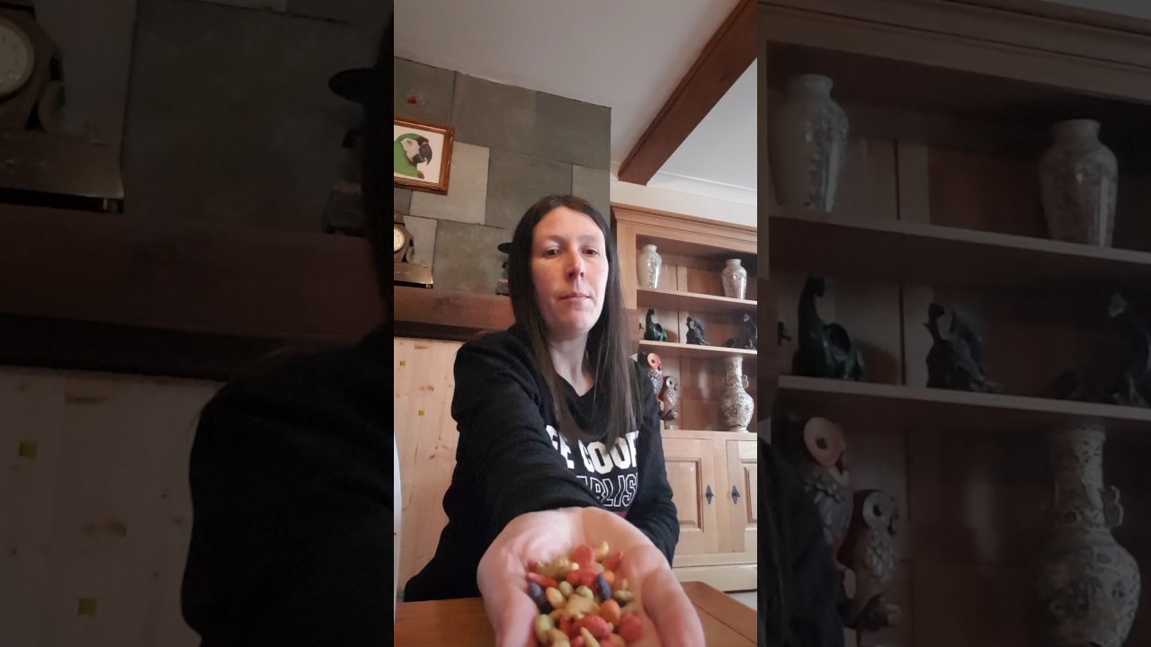 The parrot people talk about Zupreem complete pellet diets