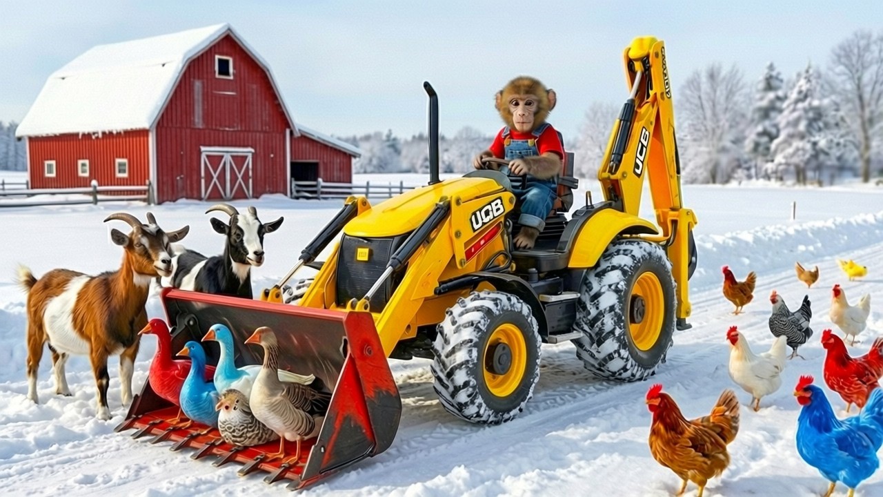 Monkey NaNa in The Winter Routine - Clearing Snow, Feeding Chickens and ducks! JCB Tractor Excavator