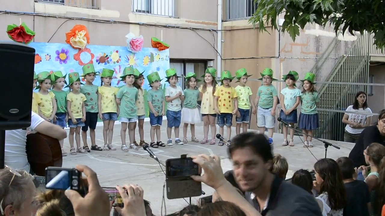 8 MSB liberta