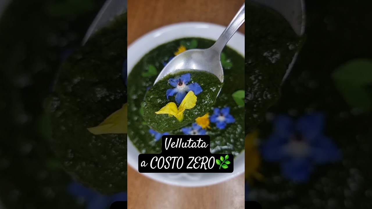 Spesa A COSTO ZERO?🌿#erbeserlvatiche #spesaacostozero #foraging #spesagratis #cibogratis #vegan