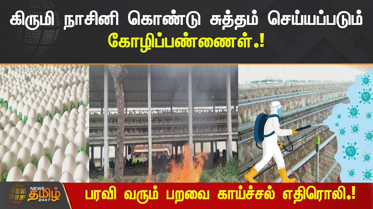 கிருமி நாசினி கொண்டு சுத்தம் செய்யப்படும் கோழிப்பண்ணைள்.! | Namakkal | Birdflu
