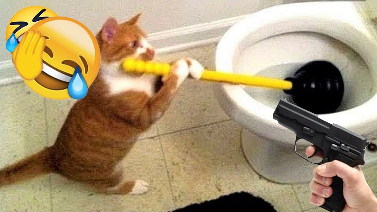 You Laugh You Lose 😹🐶 Funniest Cats and Dogs 2026 🎉 Part #02