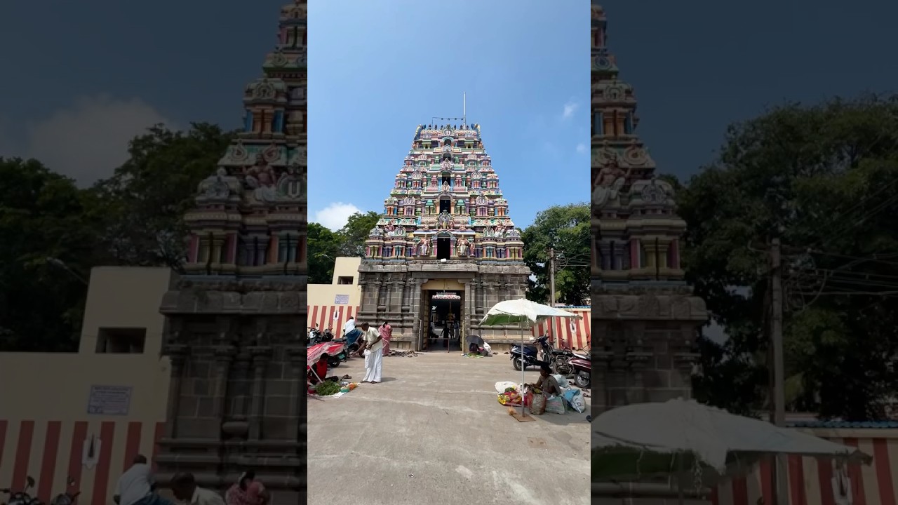 kattumannarkoil&mdash; ஸ்ரீ வீரநாராயண பெருமாள் கோயில்  காட்டுமன்னார்கோயில்