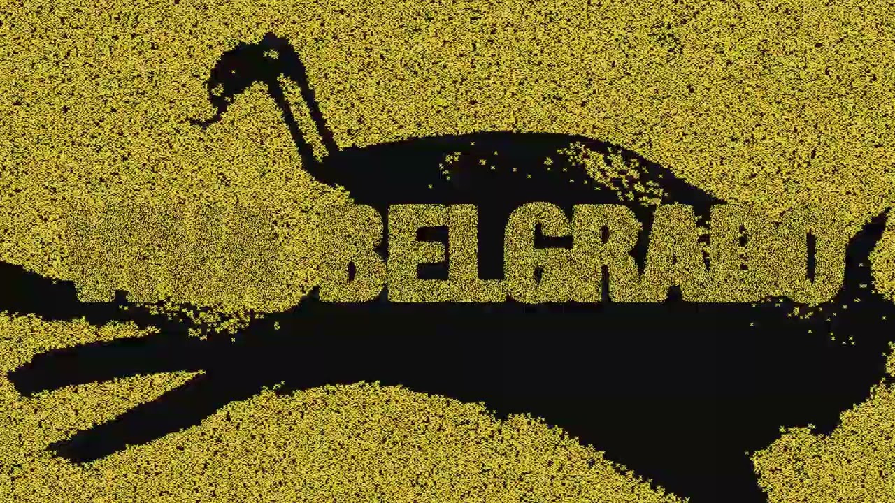 Viva Belgrado, Triángulo de Amor Bizarro - Estrellas Místicas