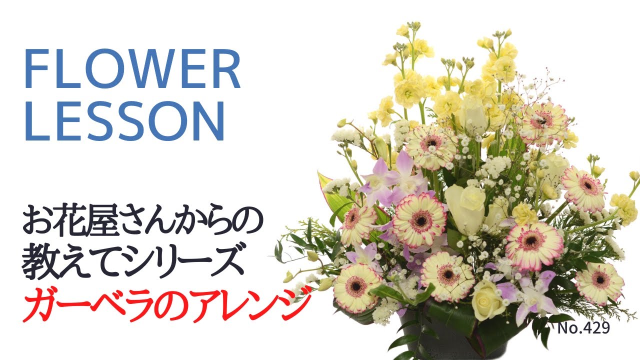 【アレンジメントの作り方】予算5千円ガーベラメインの片面アレンジ「使用本数・向き等教えて」