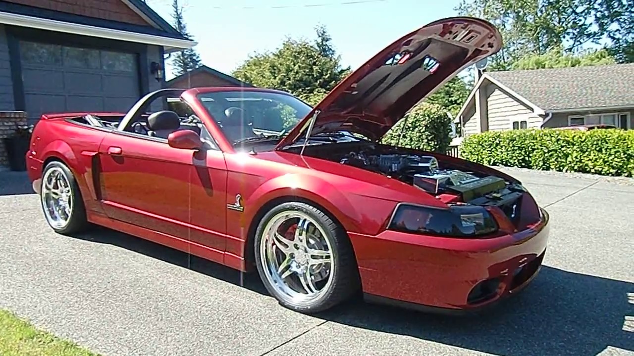 2003 Mustang Cobra convertible (Terminator)